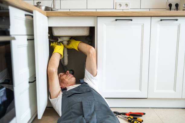 Best Septic Systems  in Central City, IA